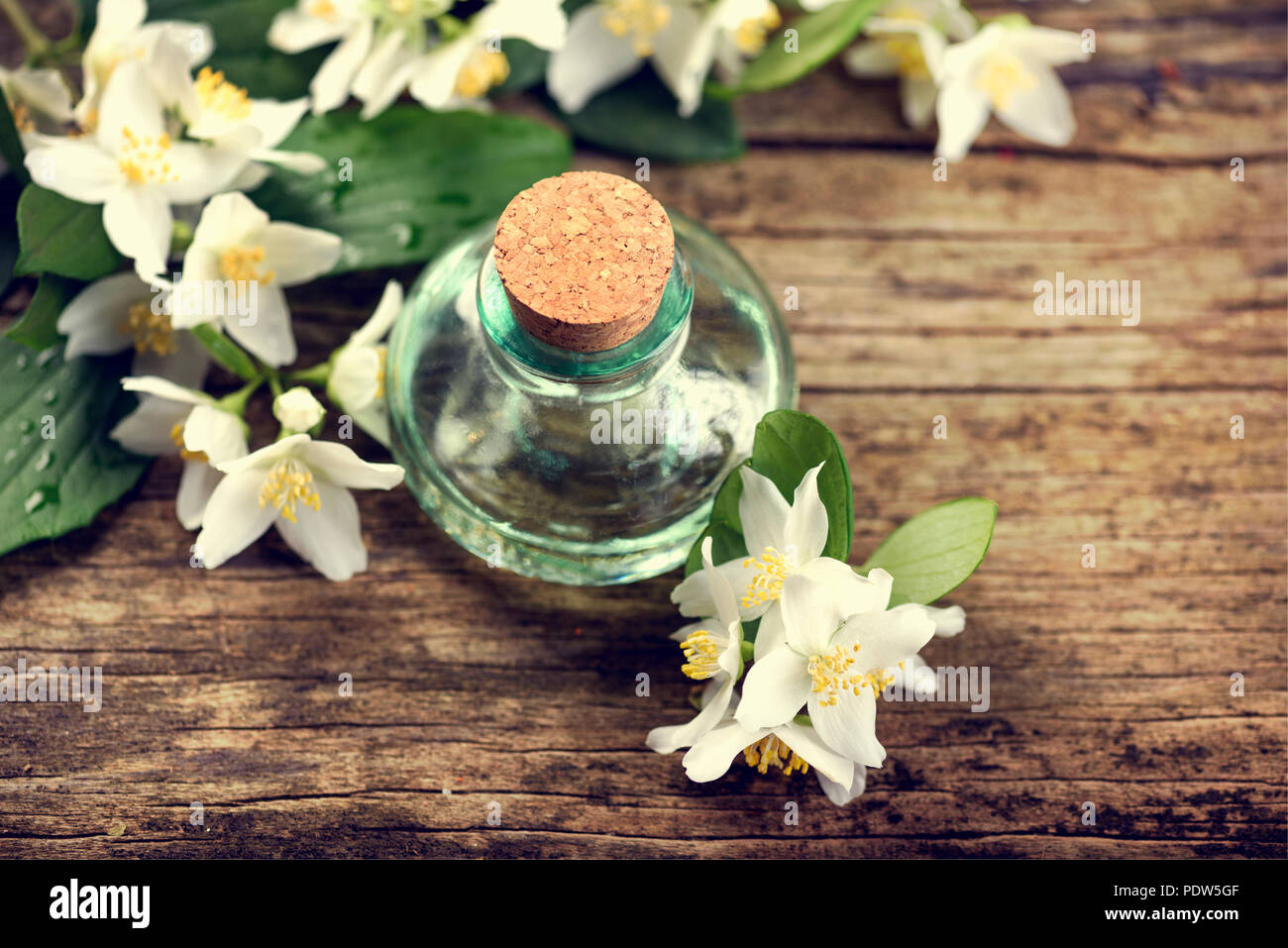 Olio essenziale di fiori di gelsomino su tavola in legno rustico Foto Stock