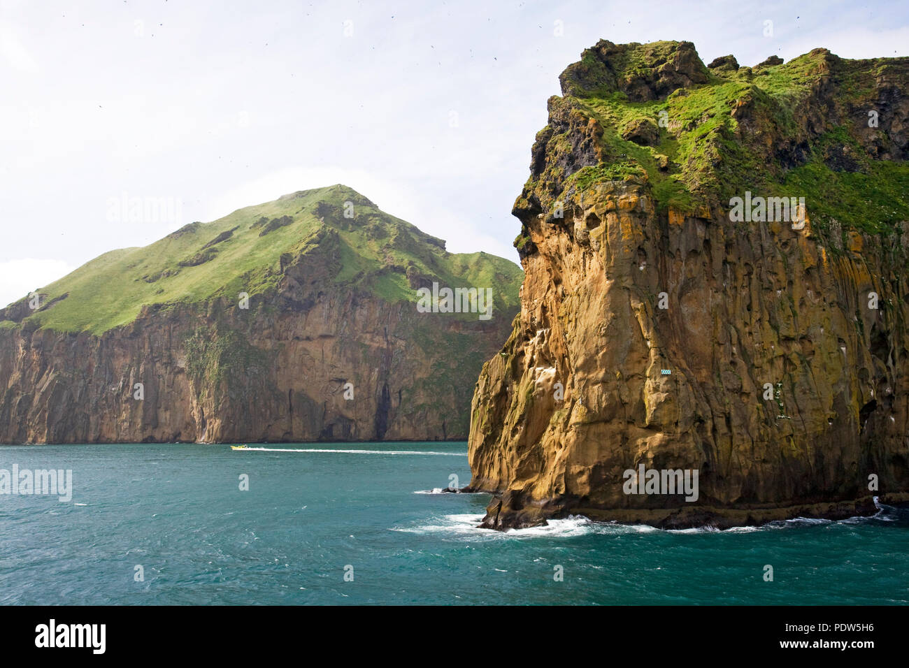 Uccelli marini da migliaia si ergono sulle ripide scogliere di Isola di Heimaey, la più grande isola dell'Arcipelago Vestmannaeyjar, appena al largo della costa meridionale della Foto Stock