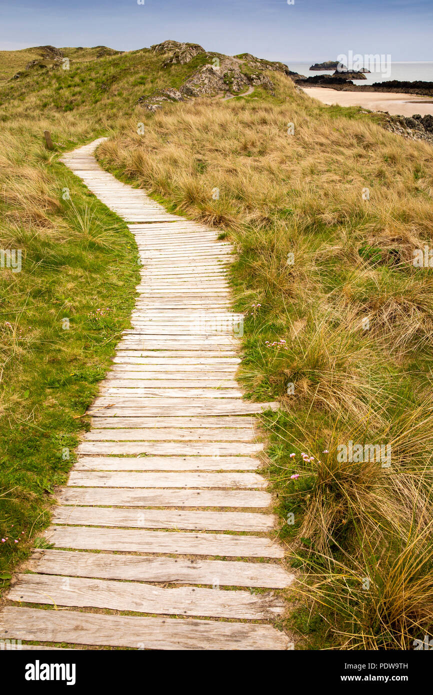 Nel Regno Unito, in Galles, Anglesey, Newborough, Llanddwyn Island, boardwalk percorso proteggendo dall erosione Foto Stock