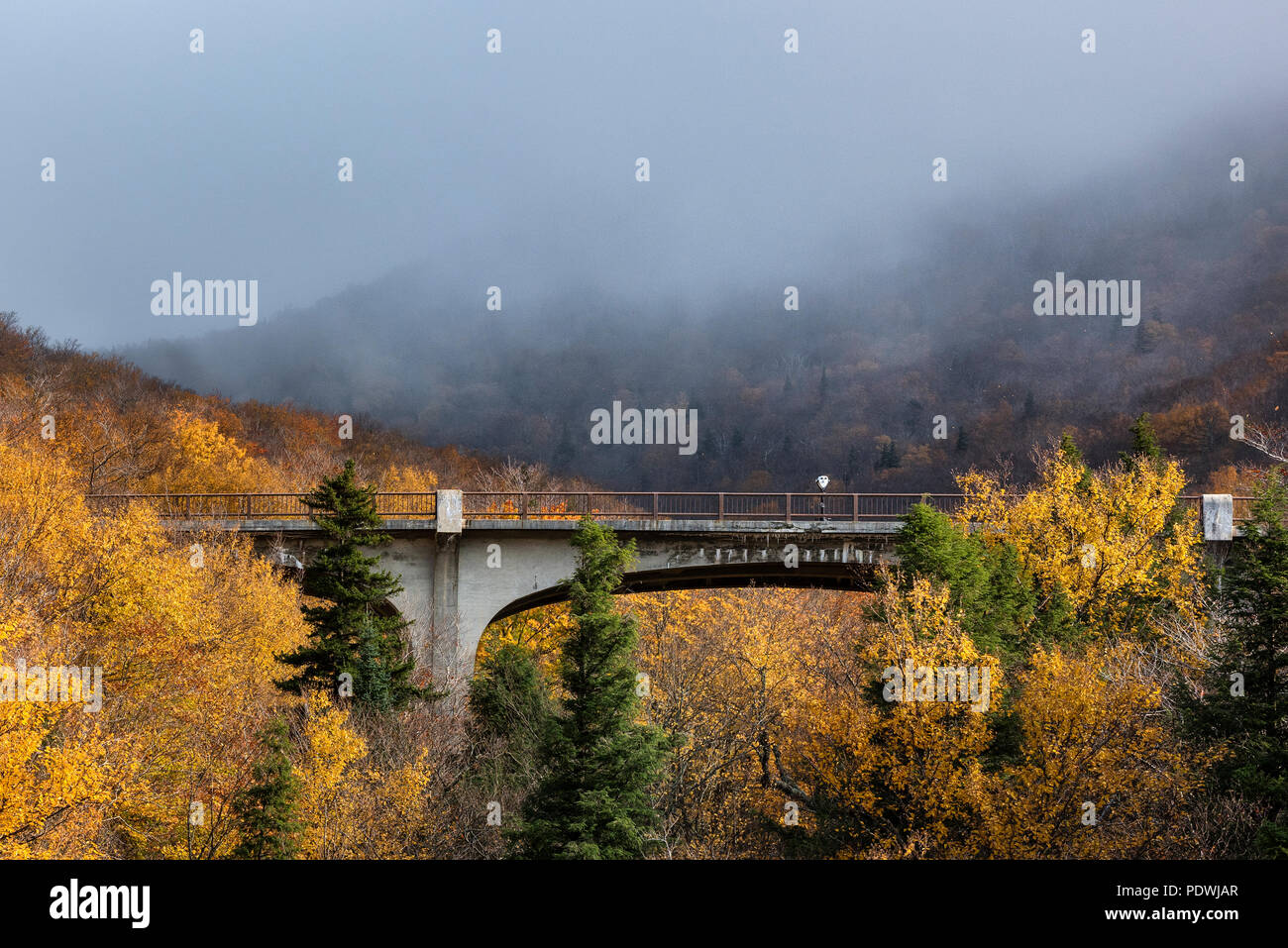 Franconia Notch State Park nel White Mountain National Forest, New Hampshire, Stati Uniti d'America. Foto Stock