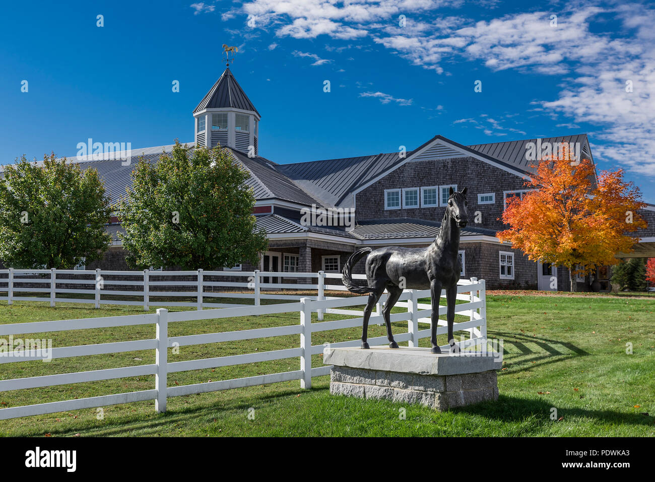 Pineland Farms centro equestre, Nuova Gloucester, Maine, Stati Uniti d'America. Foto Stock