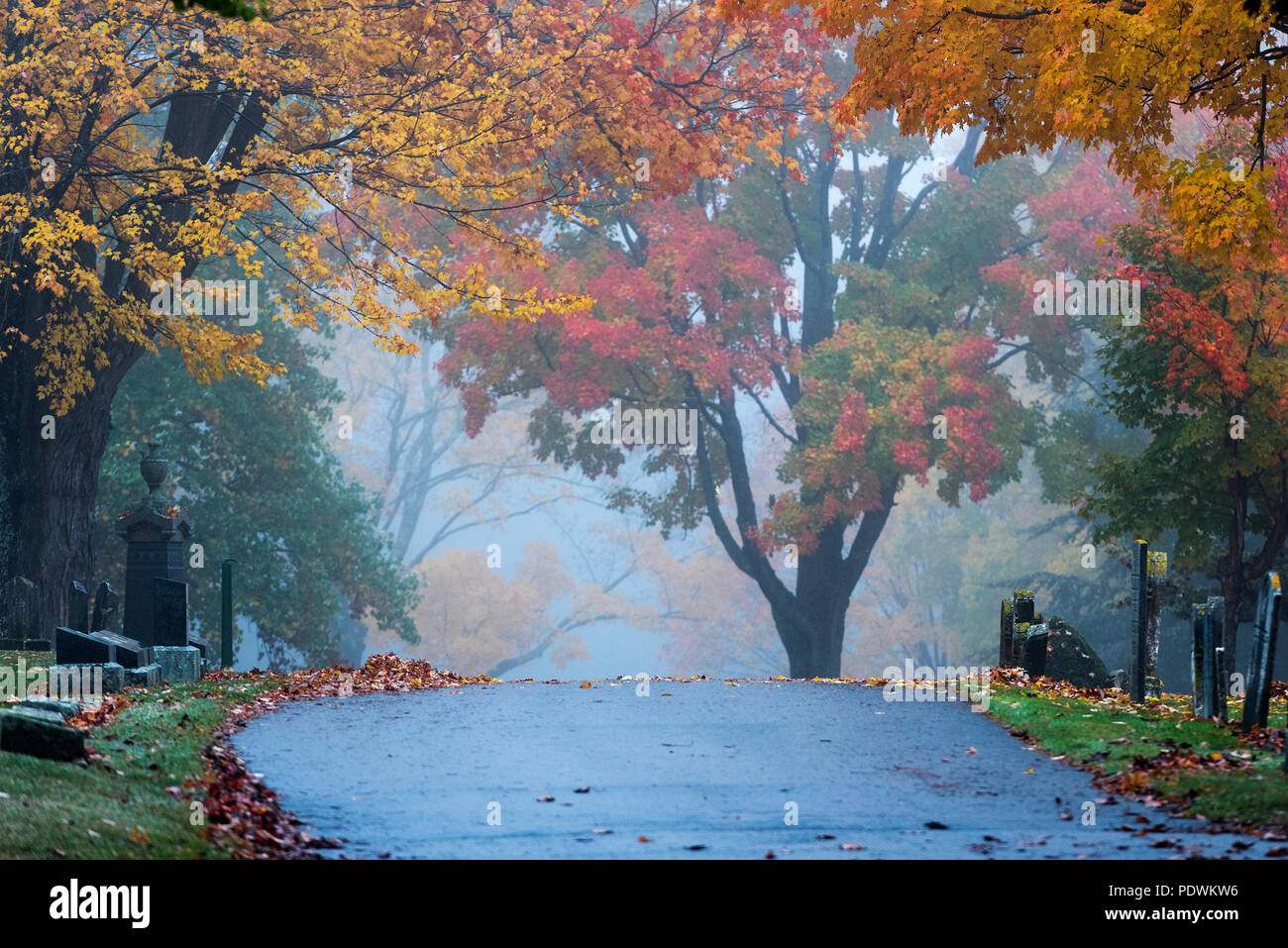 Cimitero di autunno, Saco, Maine, Stati Uniti d'America. Foto Stock