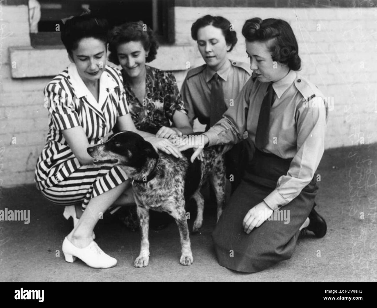 272 StateLibQld 1 73855 Victoria Barracks ragazze con il cane solo per immettere la caserma, Brisbane, 1945 Foto Stock