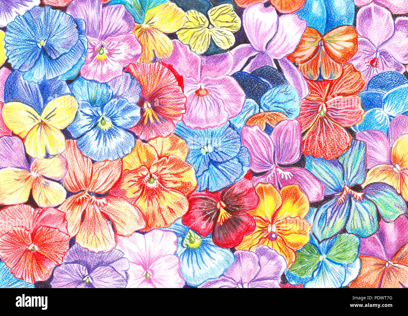 Disegno A Mano Con Matite Ad Acquarello Fiori Di Viole Di Diversi Colori In Background Foto Stock Alamy