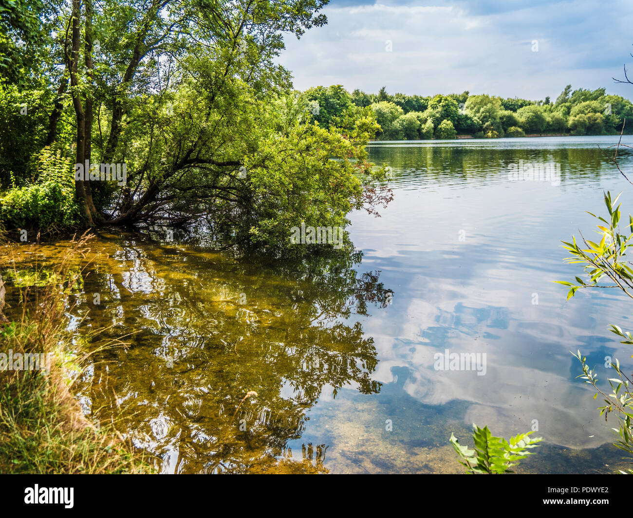 Una vista del lago a Neigh Bridge Country Park, nel Gloucestershire. Foto Stock