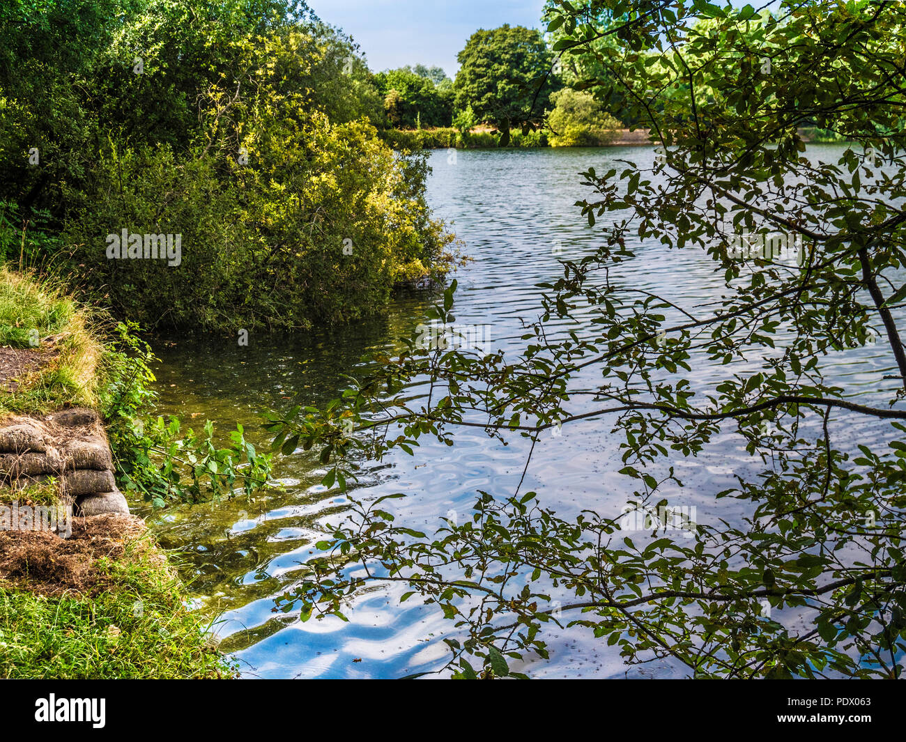 Una vista del lago a Neigh Bridge Country Park, nel Gloucestershire. Foto Stock