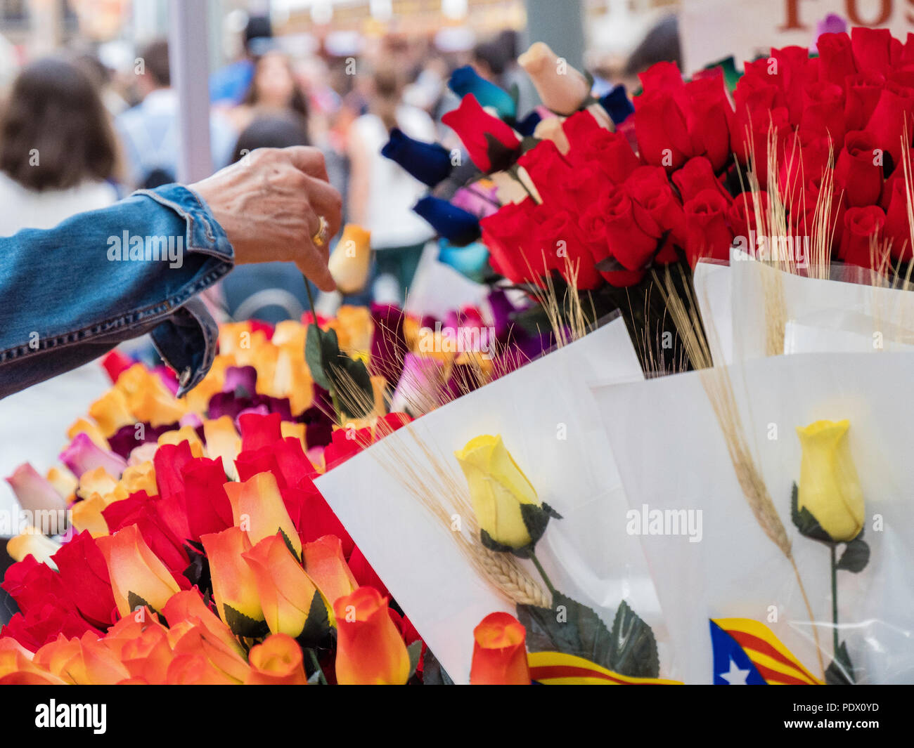 Barcellona, Spagna: 23 Aprile 2018 - Feste di Strada di Sant Jordi Festival di Barcellona Foto Stock