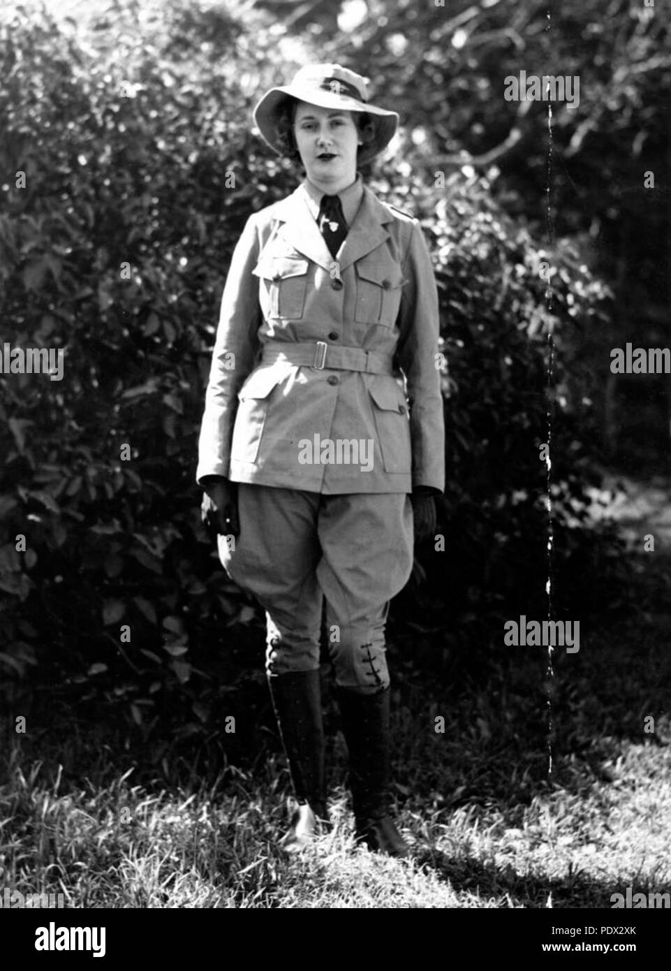 245 StateLibQld 1 185251 Horsewoman in Australian donna legione di emergenza, trasporto di cavalli, Brisbane, Settembre 1939 Foto Stock