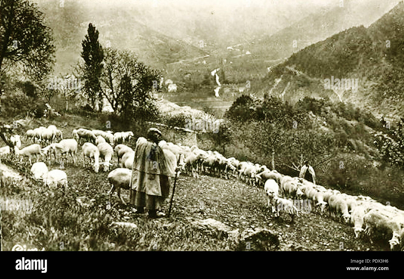 99 Chatillon-en-Diois Troupeau communal dans les alpages Foto Stock