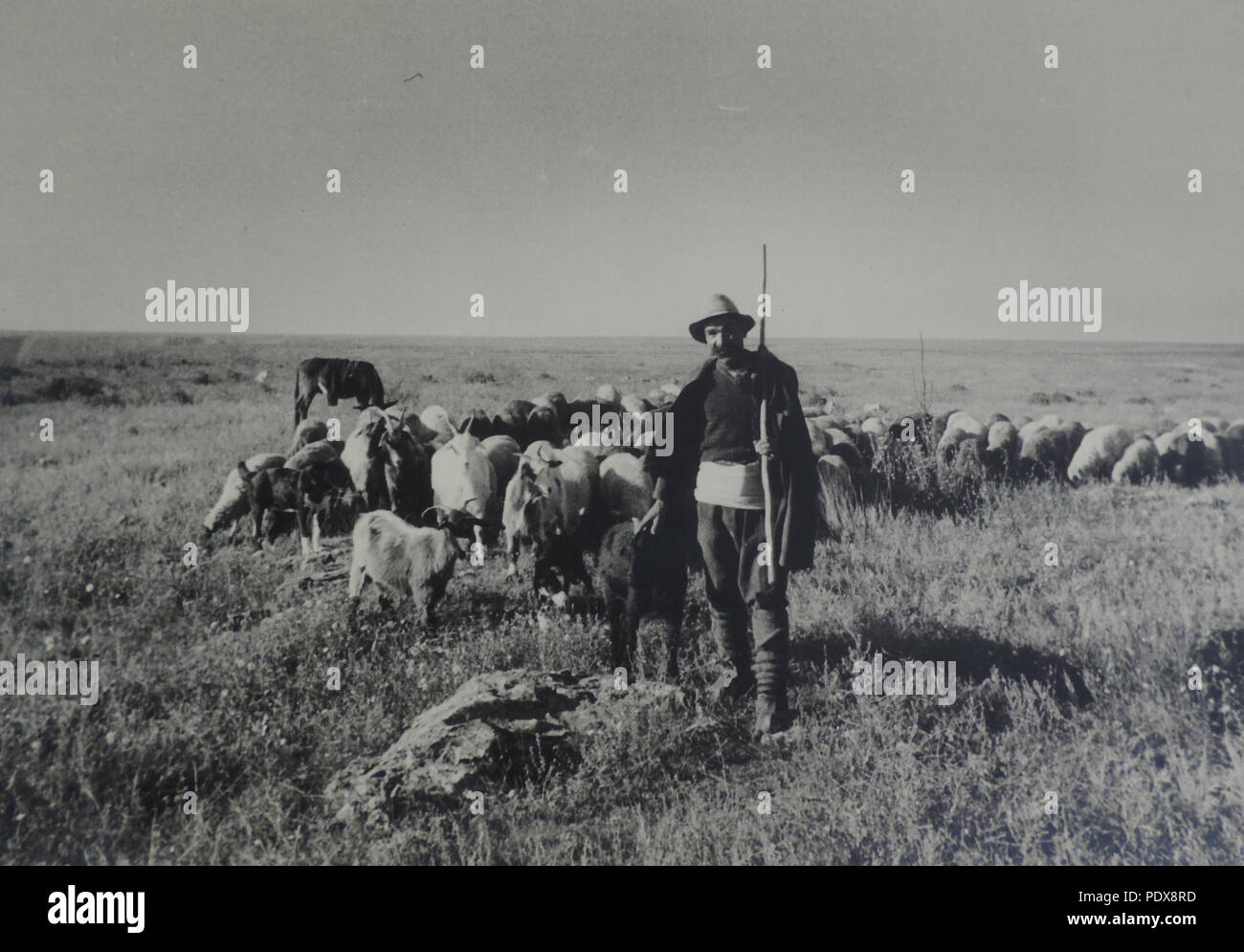 63 BASA-3K-7-436-42-Foto del Sud Dobruja, 1940 Foto Stock