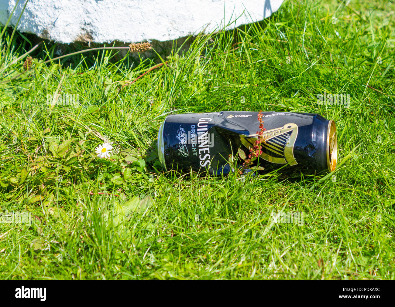 La birra vuota tin scartato sull'erba. Foto Stock