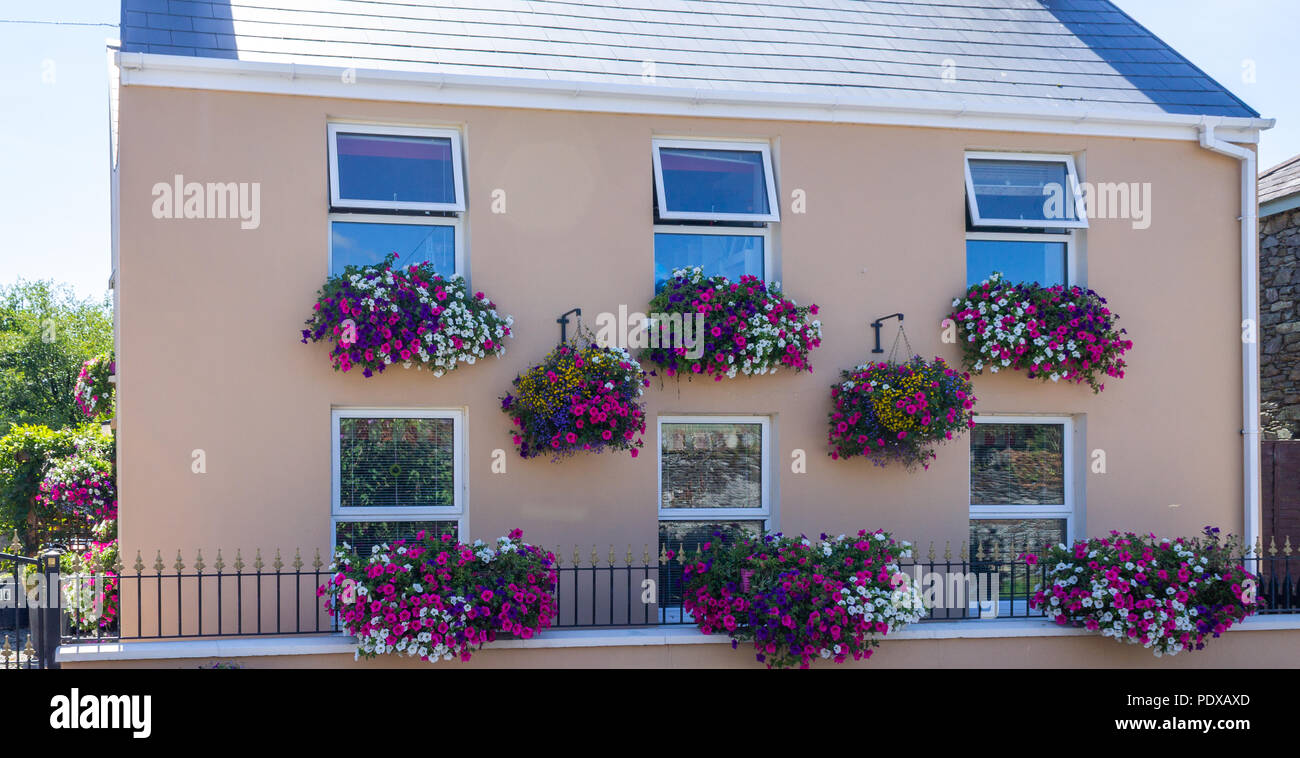 Dipinto luminosamente house con ceste di fiori d'estate la decorazione. West Cork , Ireland Foto Stock