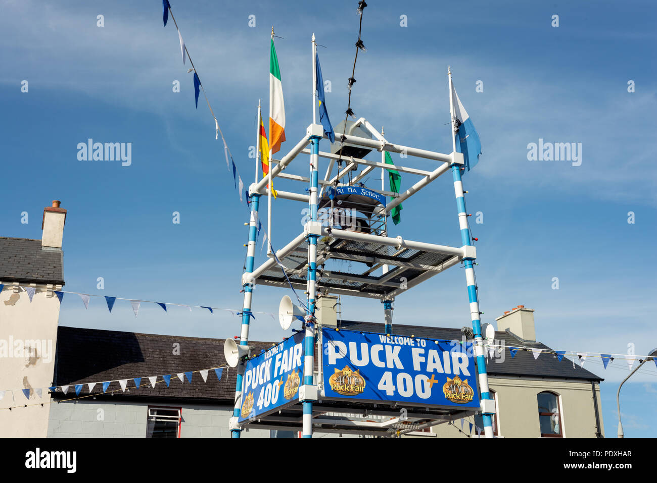 Puck Fair - il più antico festival estivo tradizionale irlandese a Killorglin, nella contea di Kerry, Irlanda. Foto Stock