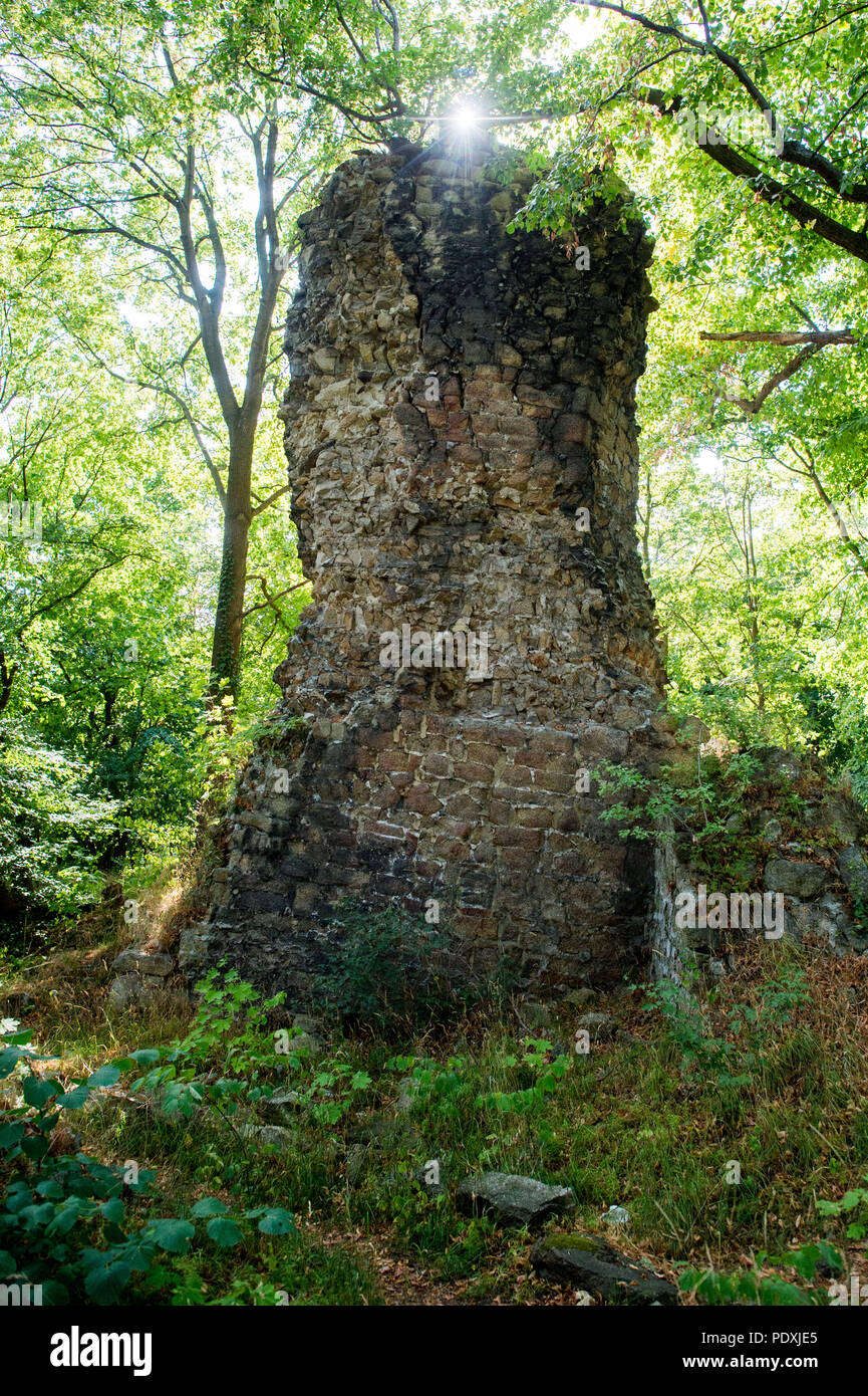 Stecklenberg, Germania. 07 Ago, 2018. Il sole splende attraverso la foresta dei resti della parte orientale di mantenere di Lauenburg Castello. Il sistema di difesa è detto sono stati quasi 30 metri di altezza. Il castello fu costruito agli inizi del XII secolo e fu menzionato per la prima volta in documenti in 1164. La rovina è solo a pochi chilometri di distanza dal Teufelsmauer (lit.'Devil parete dell') ed è una rinomata stazione di escursionismo. Alla fine del XV secolo il castello perse la sua importanza e fu poi utilizzato come cava. Credito: Klaus-Dietmar Gabbert/dpa-Zentralbild/ZB/dpa/Alamy Live News Foto Stock