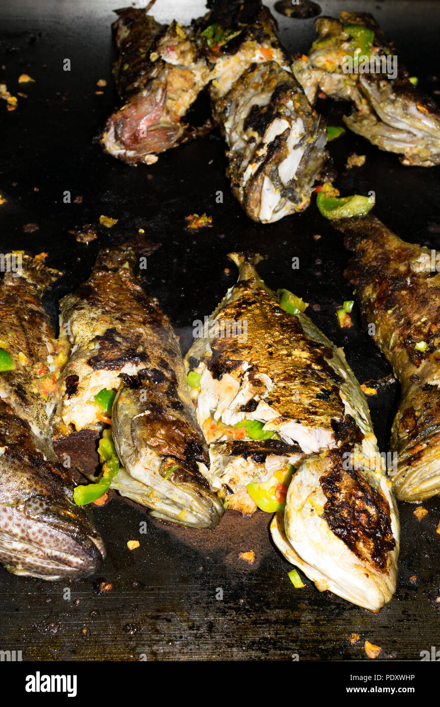 Per le trote fresche alla griglia con verdure, barbecue Foto Stock