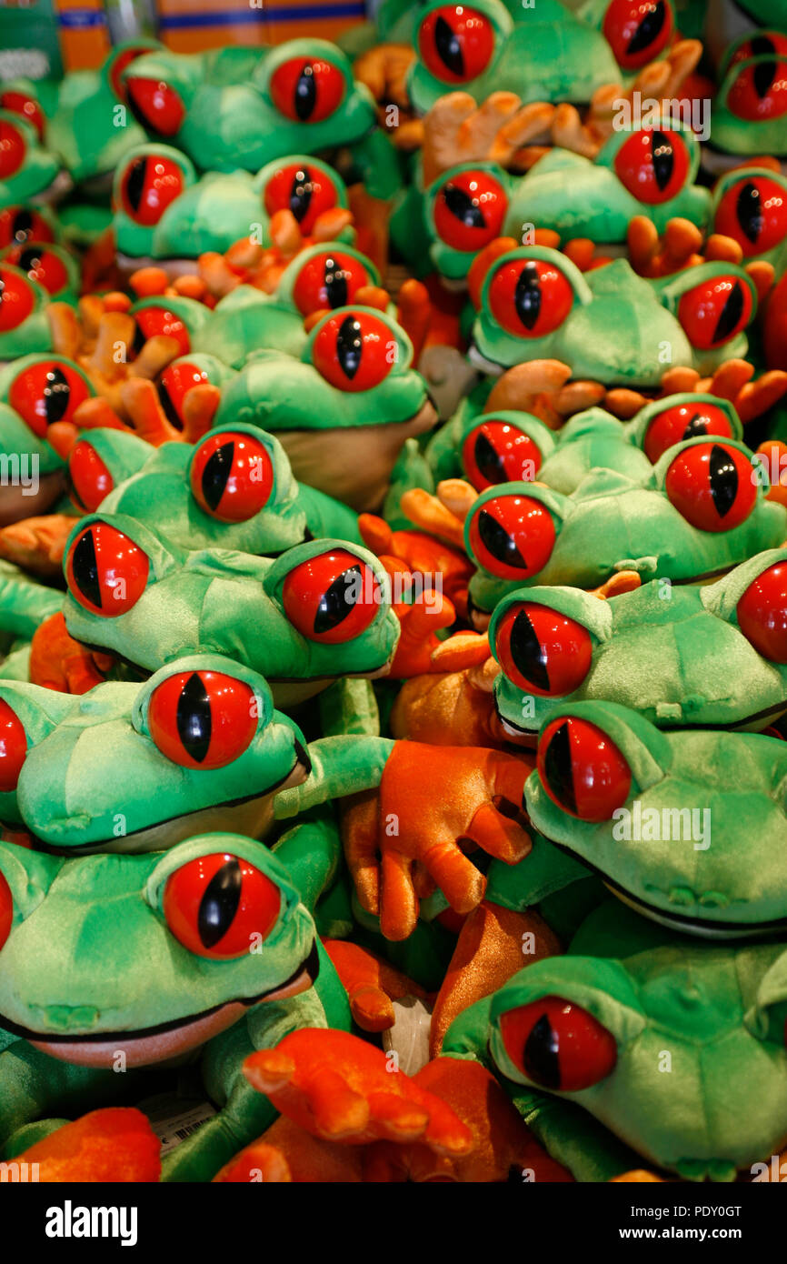 Gli occhi di rane Foto Stock