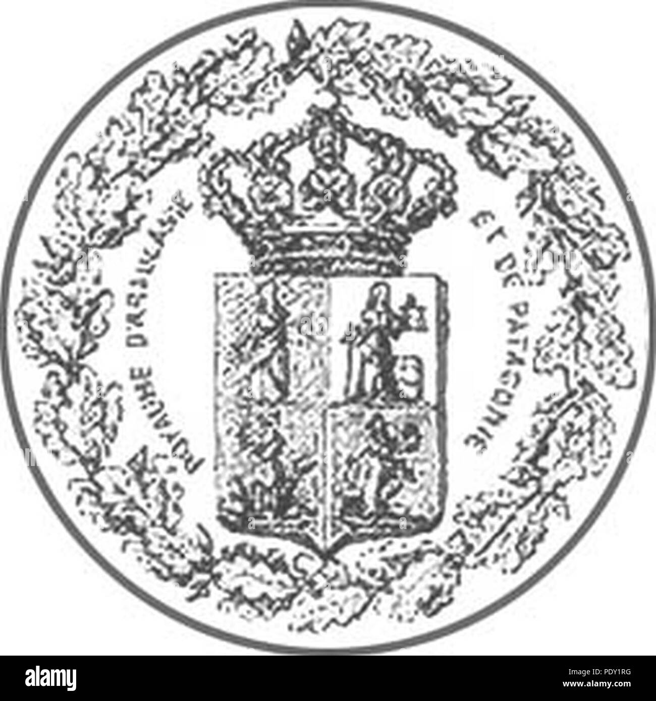 Araucania coa. Foto Stock