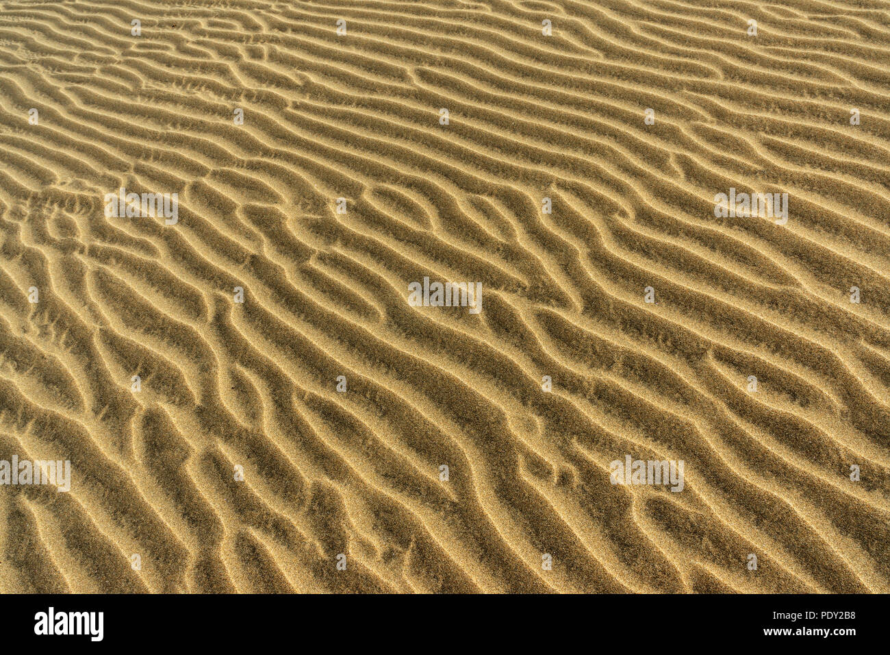 Strutture in sabbia, dune di Maspalomas, il Dunas de Maspalomas, strutture in sabbia, riserva naturale, Gran Canaria Foto Stock