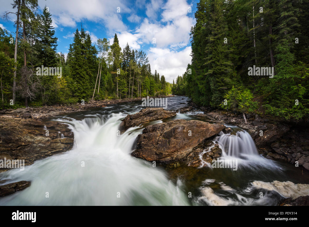 Il fiume selvaggio con cascata, vicino a Dawson Falls, Grey Parco Provinciale, British Columbia, Canada Foto Stock