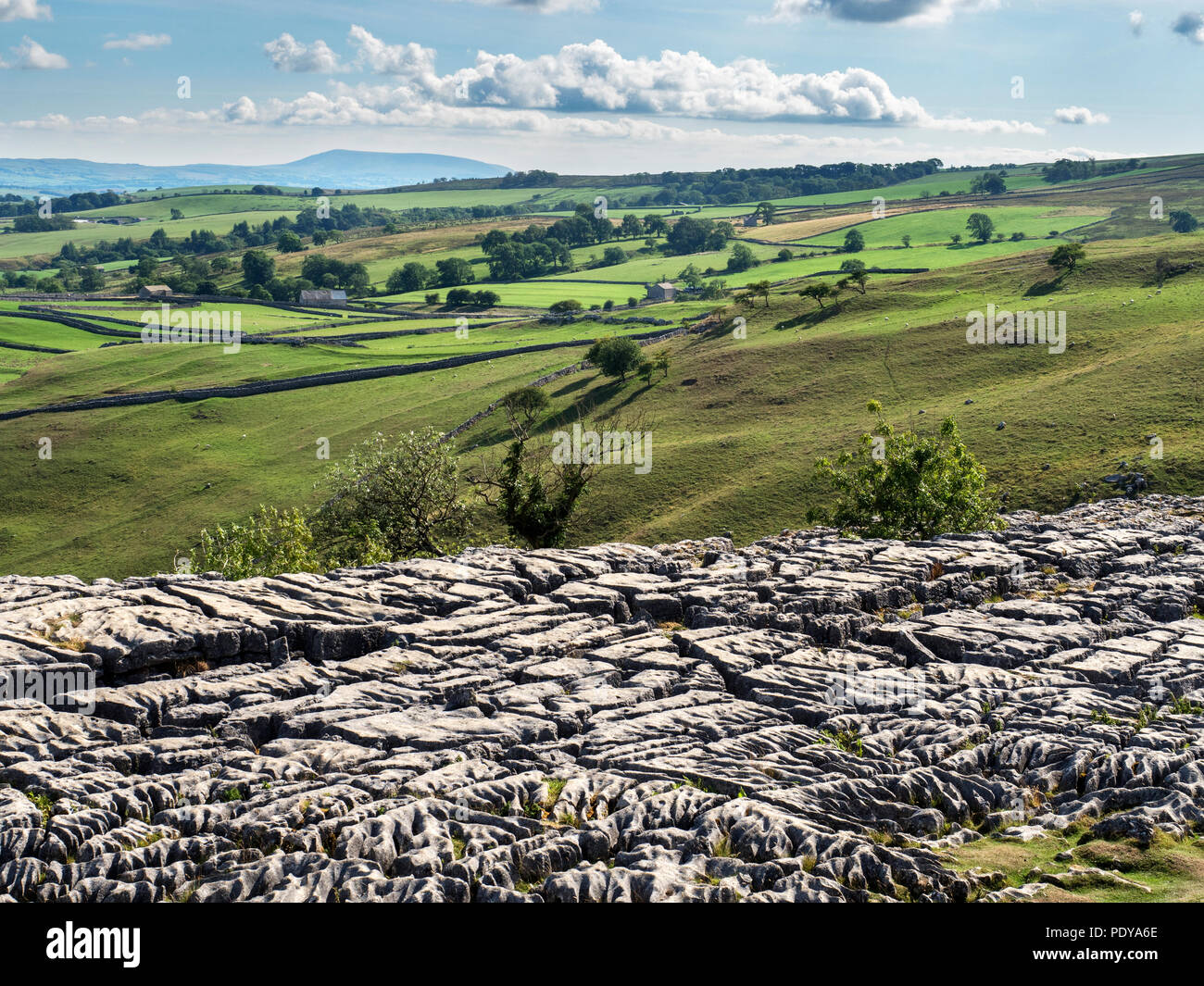 Vista da Malham Cove con Pendle Hill all'orizzonte vicino Malham Yorkshire Dales Inghilterra Foto Stock