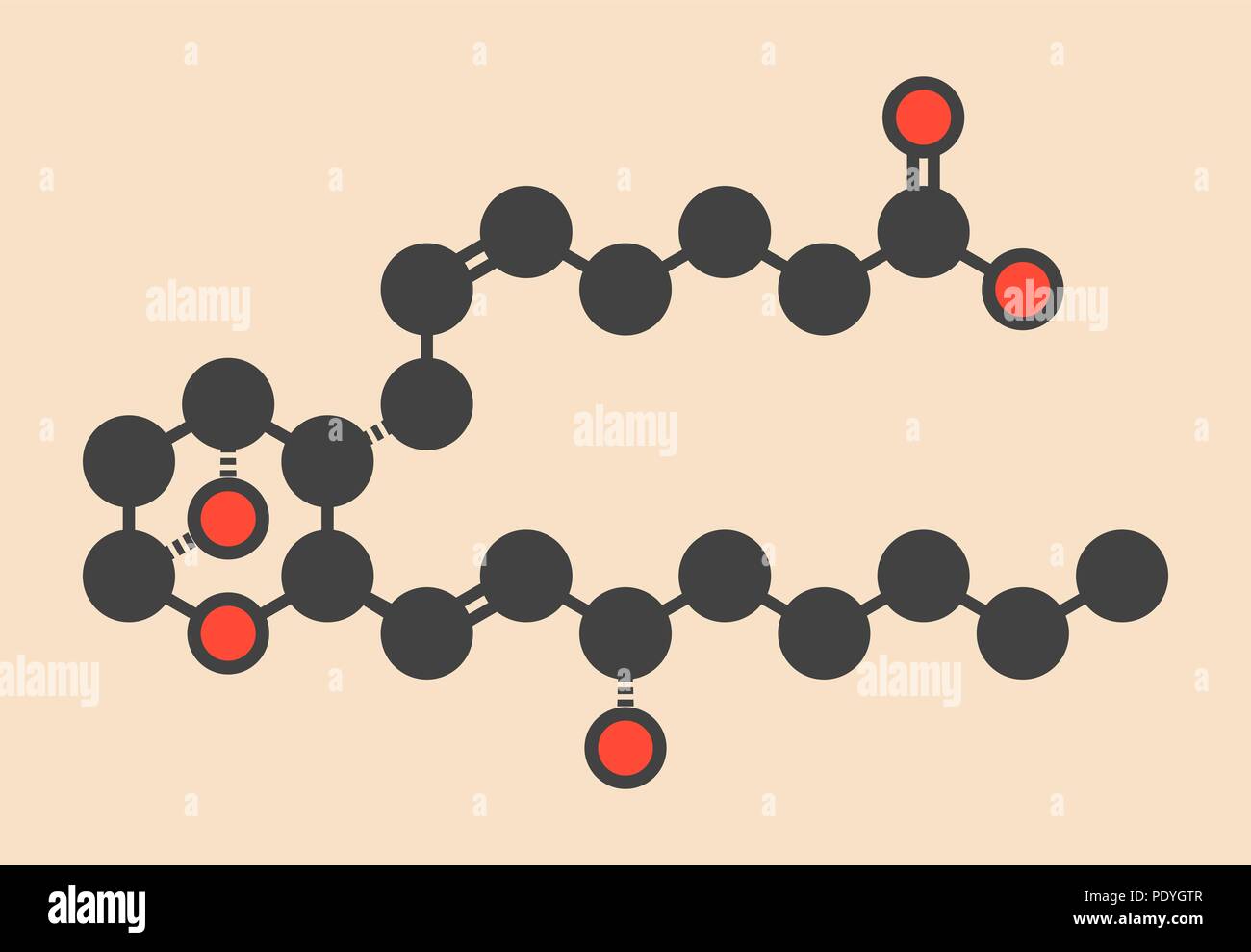 Il trombossano A2 (TXA2 molecola). Stilizzata di scheletro di formula (struttura chimica): gli atomi sono mostrati come codificati per colore cerchi: idrogeno (nascosto), carbonio (grigio), Ossigeno (rosso). Foto Stock