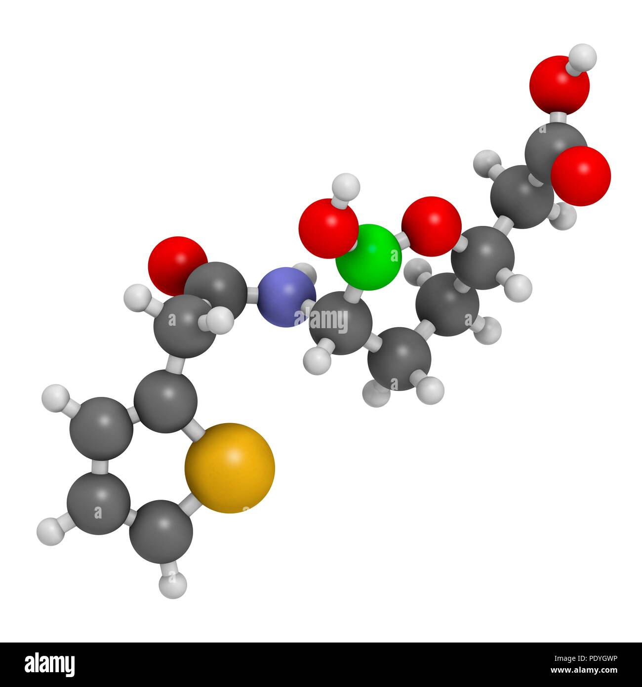 Vaborbactam molecola di farmaco. Beta-lattamasi inibitore co-somministrato con meropenem per bloccare la degradazione di queste ultime da parte di enzimi carbapenemase. Il rendering 3D. Gli atomi sono rappresentati come sfere con i tradizionali colori: idrogeno (bianco), carbonio (grigio), Azoto (blu), Ossigeno (rosso), zolfo (giallo), boro (verde). Foto Stock