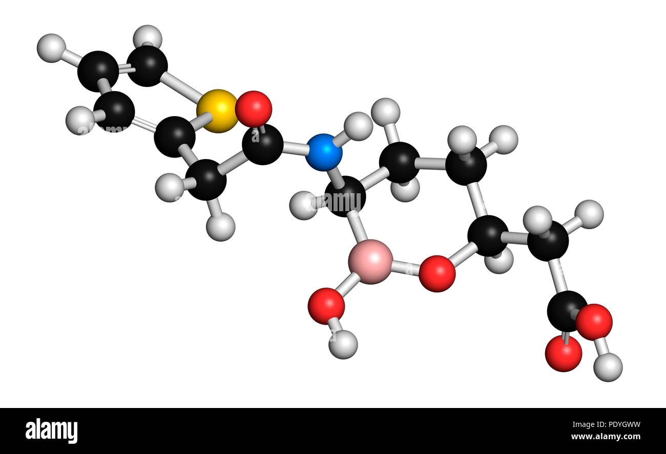 Vaborbactam molecola di farmaco. Beta-lattamasi inibitore co-somministrato con meropenem per bloccare la degradazione di queste ultime da parte di enzimi carbapenemase. Il rendering 3D. Gli atomi sono rappresentati come sfere con i tradizionali colori: idrogeno (bianco), carbonio (nero), Azoto (blu), Ossigeno (rosso), zolfo (giallo), boro (rosa). Foto Stock