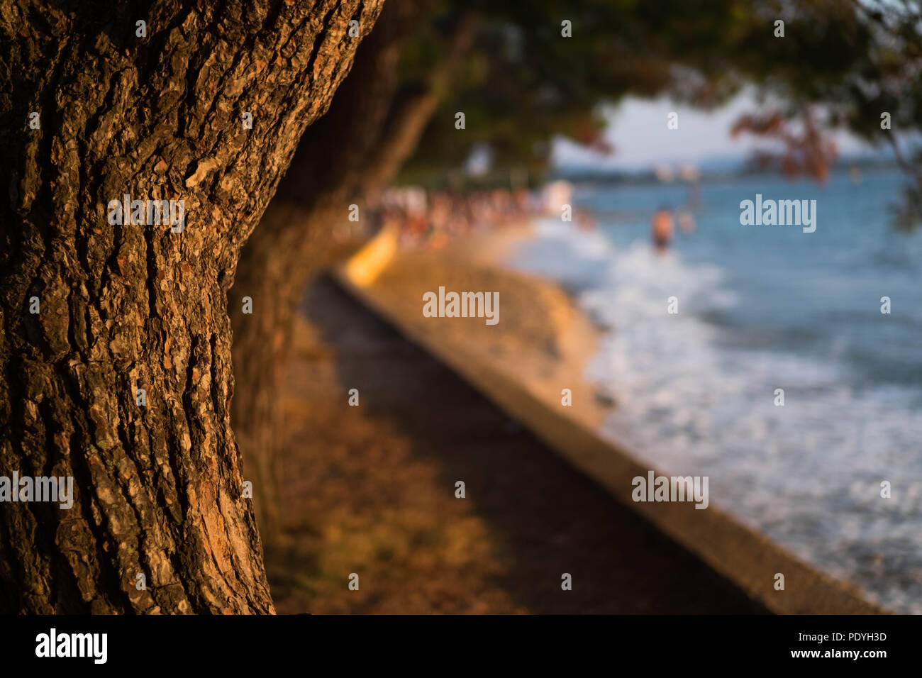 Tramonto sulla spiaggia. Foto Stock
