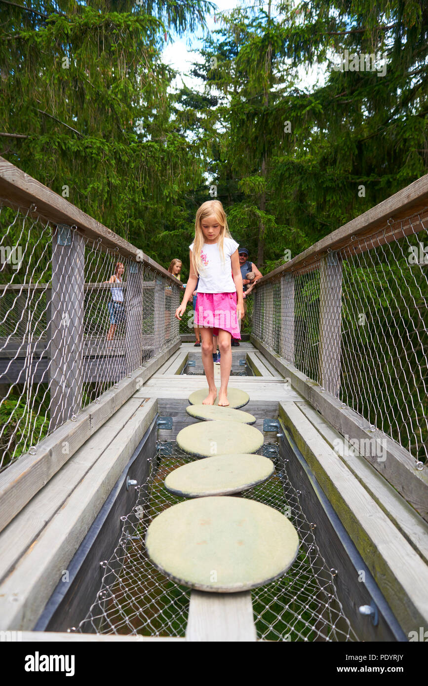 Turisti alla Torre Treetop passeggiata alla scoperta delle bellezze di Sumava National Park (foresta Boema) Foto Stock