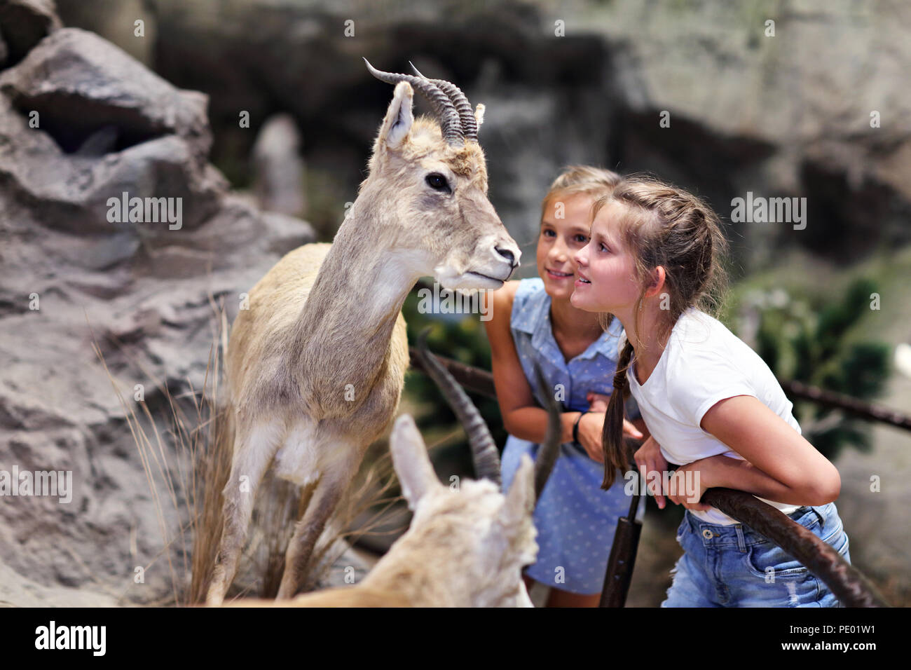 Gioiosa famiglia nel museo naturalistico Foto Stock
