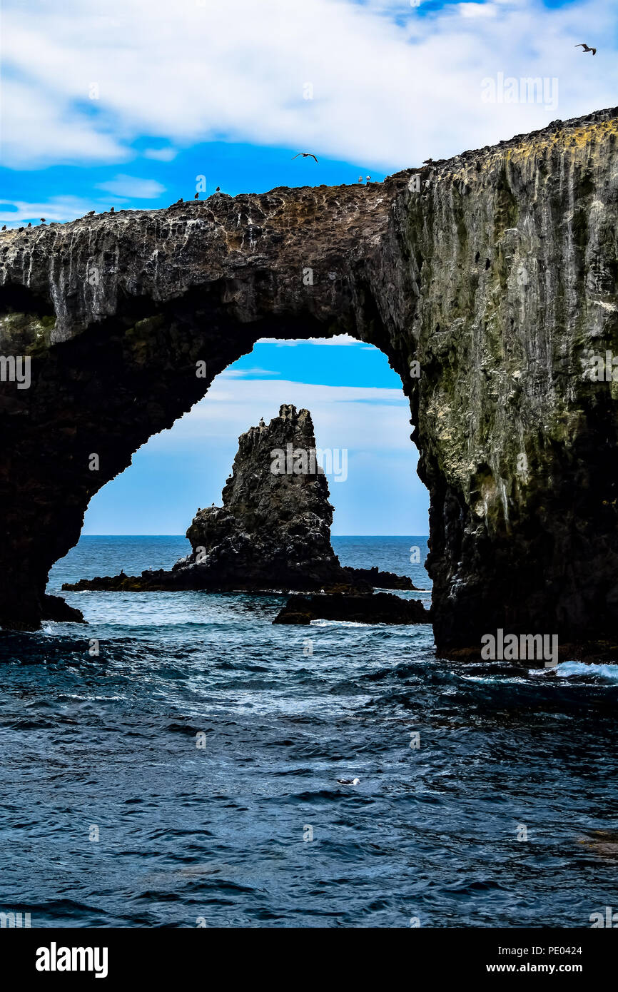 Arch Rock su Anacapa Island nel Parco Nazionale delle Channel Islands, California Foto Stock