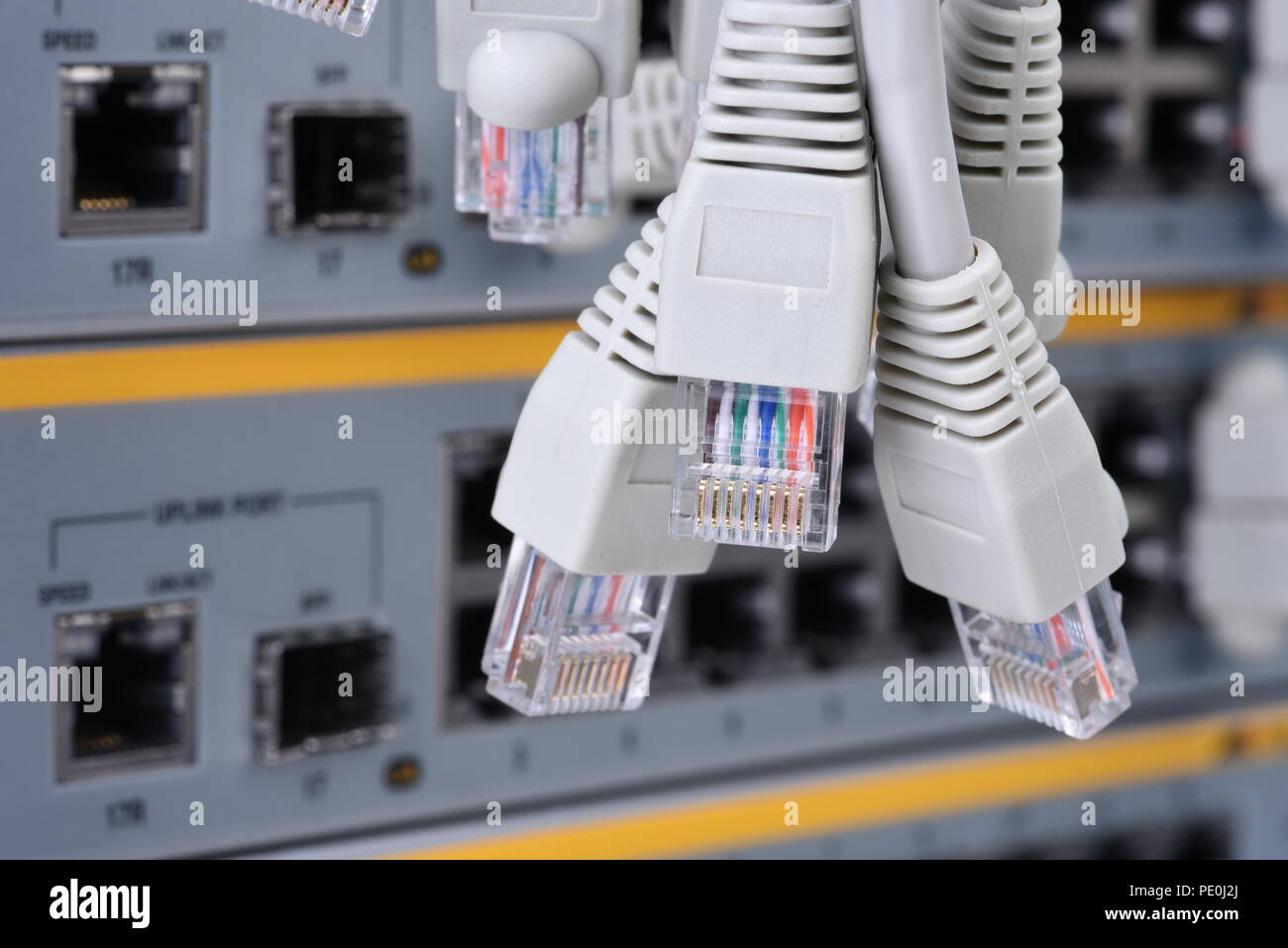 Patch di rete cavo cavo connettori RJ45 Foto Stock