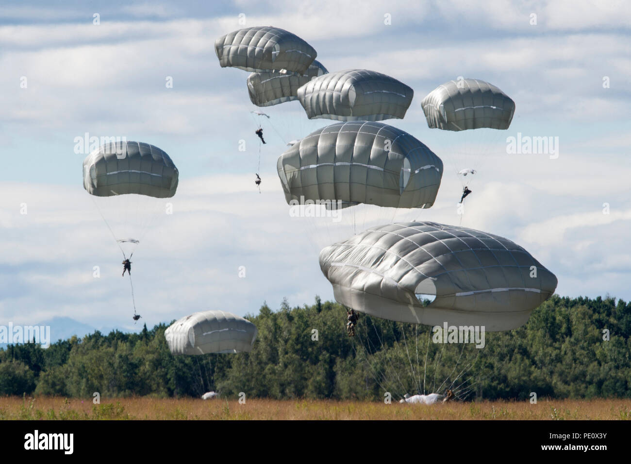 Stati Uniti Paracadutisti dell'esercito assegnato alla quarta brigata di fanteria combattere Team (airborne), XXV divisione di fanteria, U.S. Esercito di Alaska, scendere sopra Malemute Drop Zone dopo il salto da un'Illinois Air National Guard C-130 Hercules durante la conduzione di airborne formazione a base comune Elmendorf-Richardson, Alaska, e il Agosto 9, 2018. I soldati del 4/25 appartengono al solo American airborne brigade nel Pacifico e sono addestrati per eseguire le manovre di volo in condizioni di freddo intenso e ambienti ad altitudini elevate a sostegno del combattimento, partenariato e disaster relief operations. Avieri dal 169Airlift Squadr Foto Stock