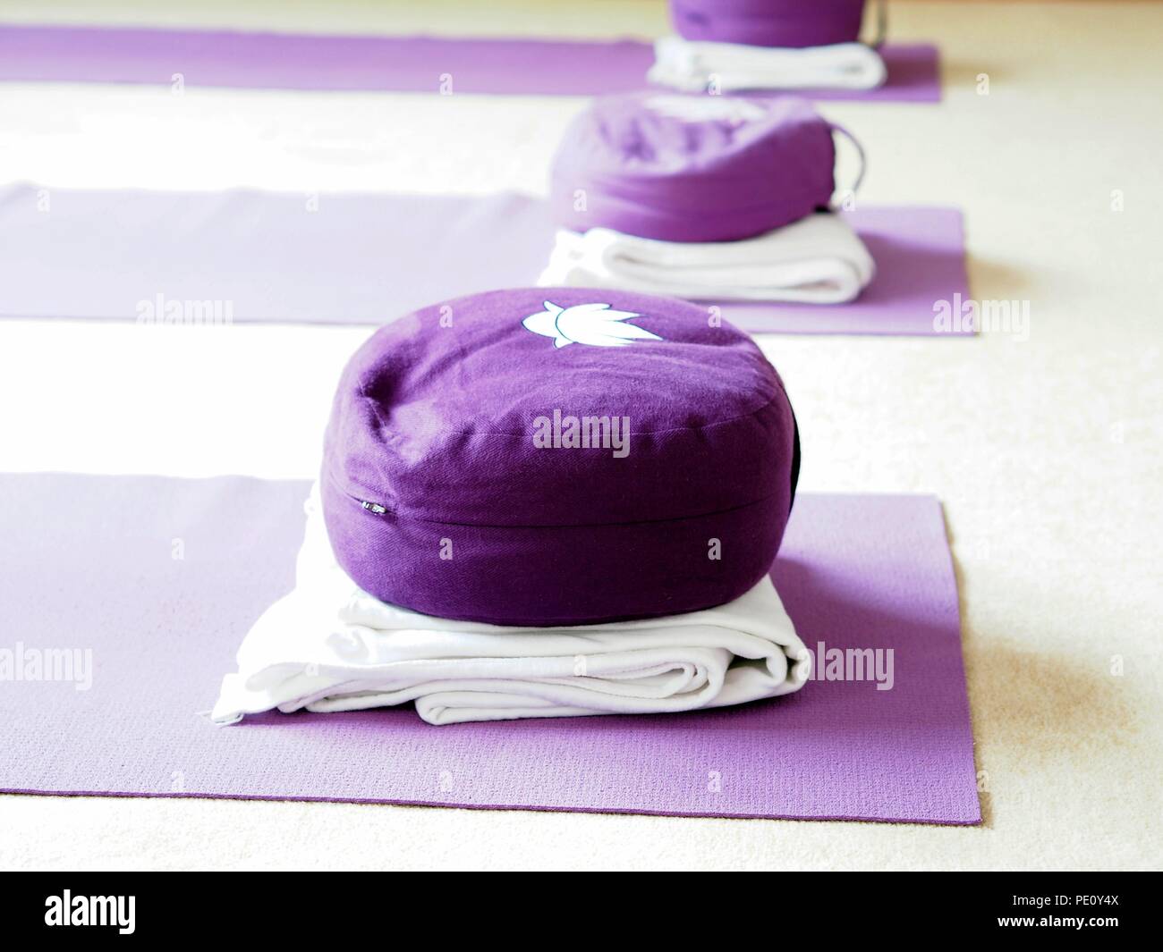 Colore porpora materassino yoga e yoga cuscino in una sala yoga. Foto Stock