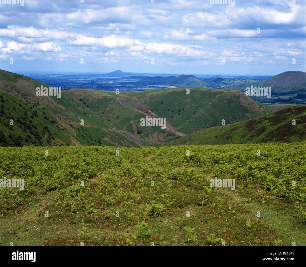 La lunga Mynd, Shropshire, Inghilterra Foto Stock