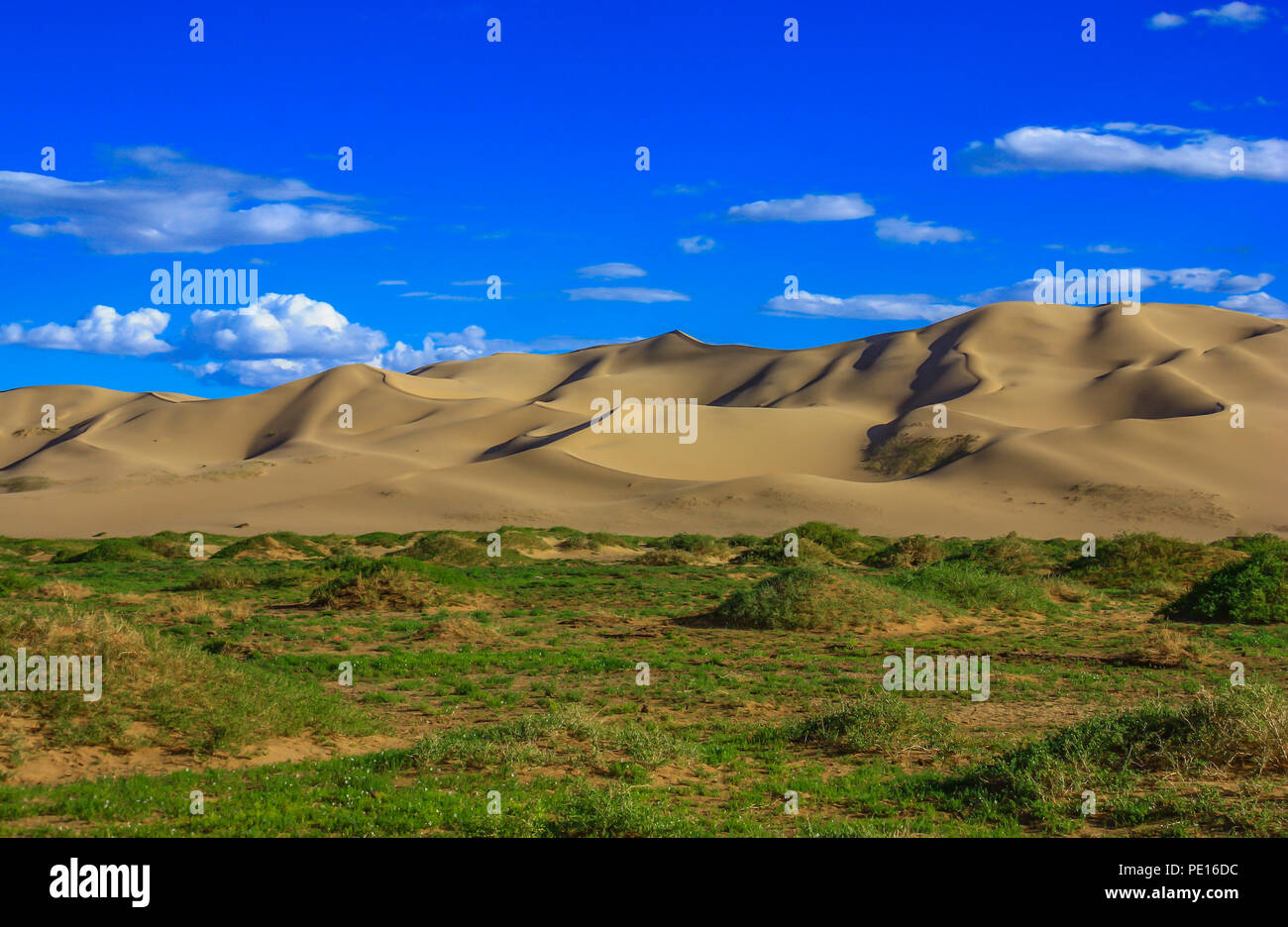 Deserto dei Gobi e Mongolia - uno dei deserti più grandi del mondo, con estati calde e inverni di congelamento, il Deserto del Gobi offre diversi paesaggi Foto Stock