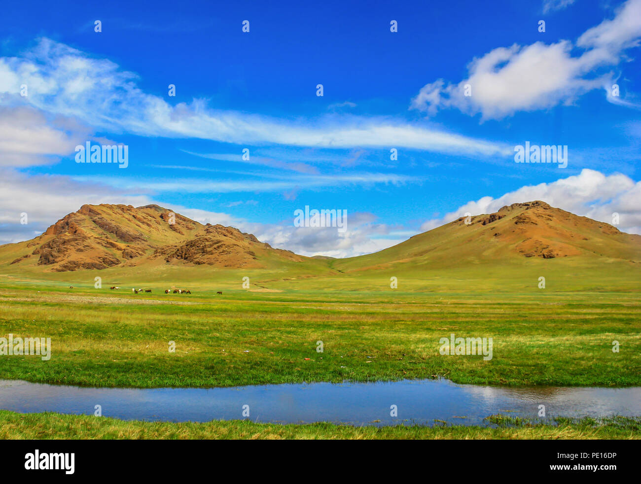 Deserto dei Gobi e Mongolia - uno dei deserti più grandi del mondo, con estati calde e inverni di congelamento, il Deserto del Gobi offre diversi paesaggi Foto Stock