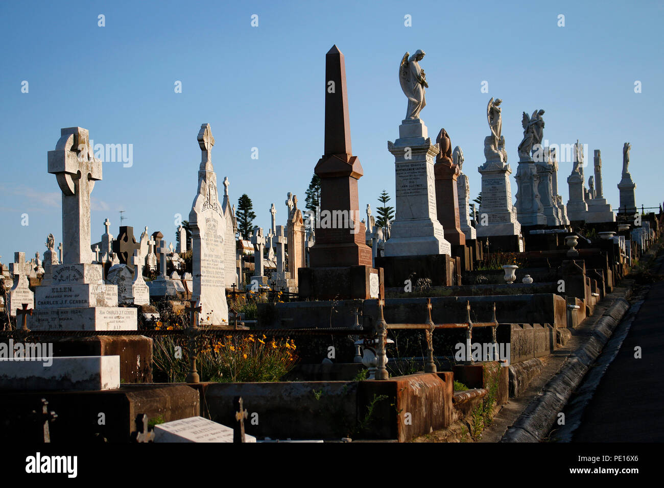 Impressionen: Waverley cimitero, Sydney, Australia. Foto Stock