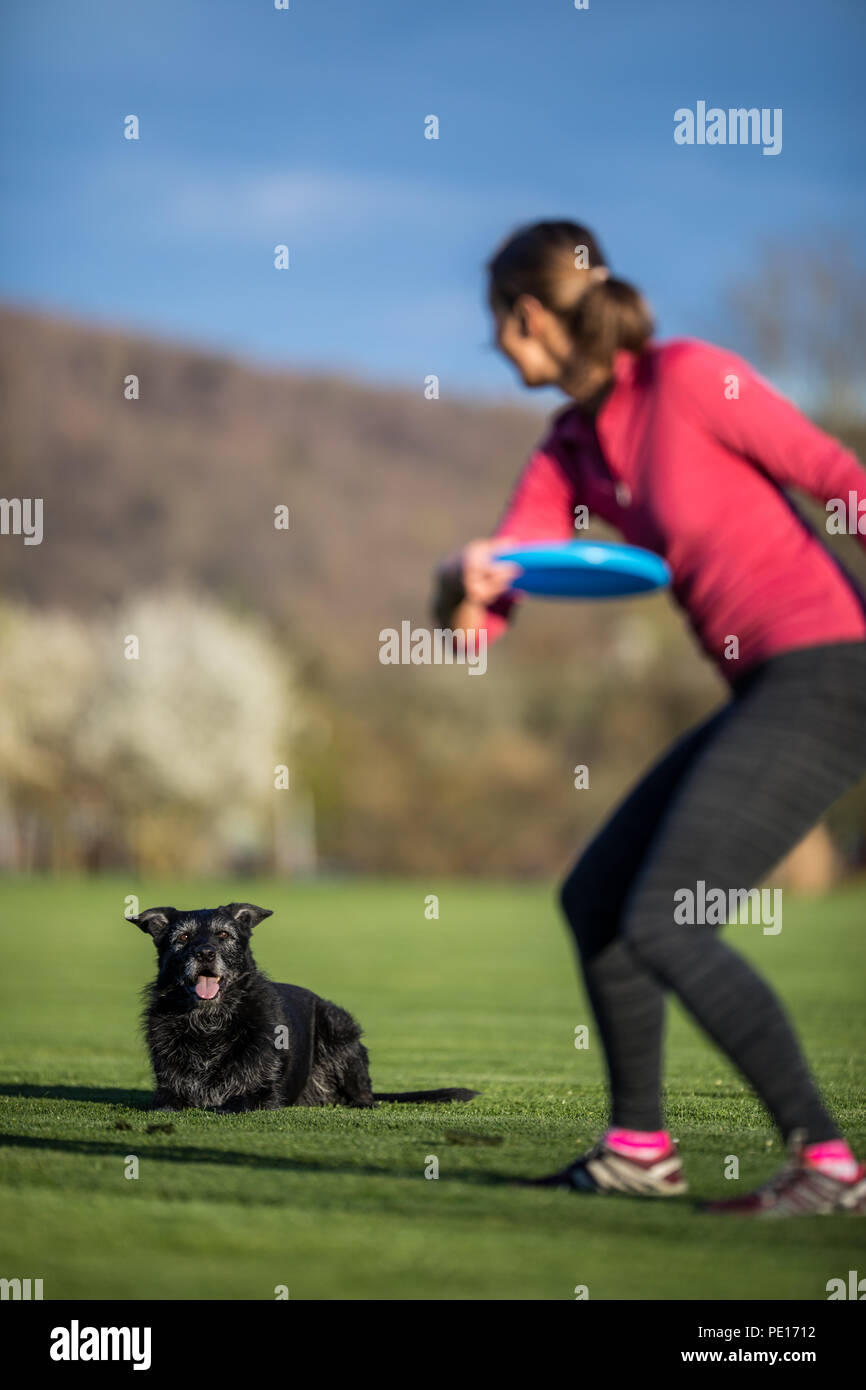 Giovane donna gettando freisbee al suo cane nero all'aperto (SHALLOW DOF, una messa a fuoco nitida Foto Stock