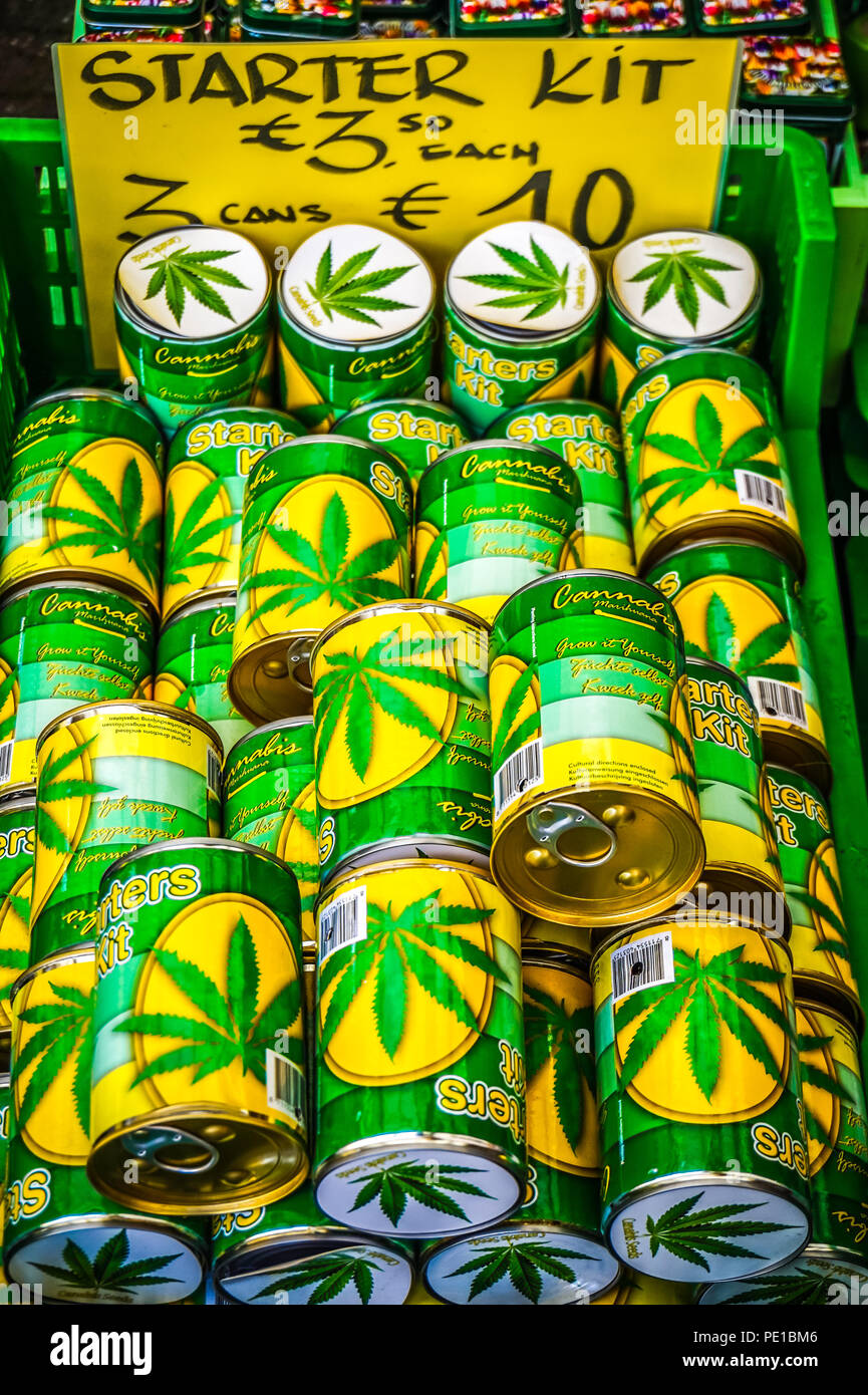 Starter kit di Marijuana prontamente disponibile per la vendita su un mercato pubblico nel centro della città vecchia di Amsterdam, Paesi Bassi Foto Stock