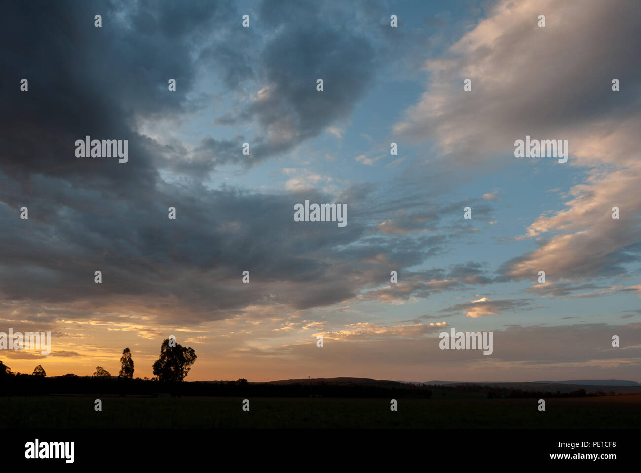 Silhouette ad albero, campo aperto con splendide cloudscape al tramonto, Sud Africa Foto Stock
