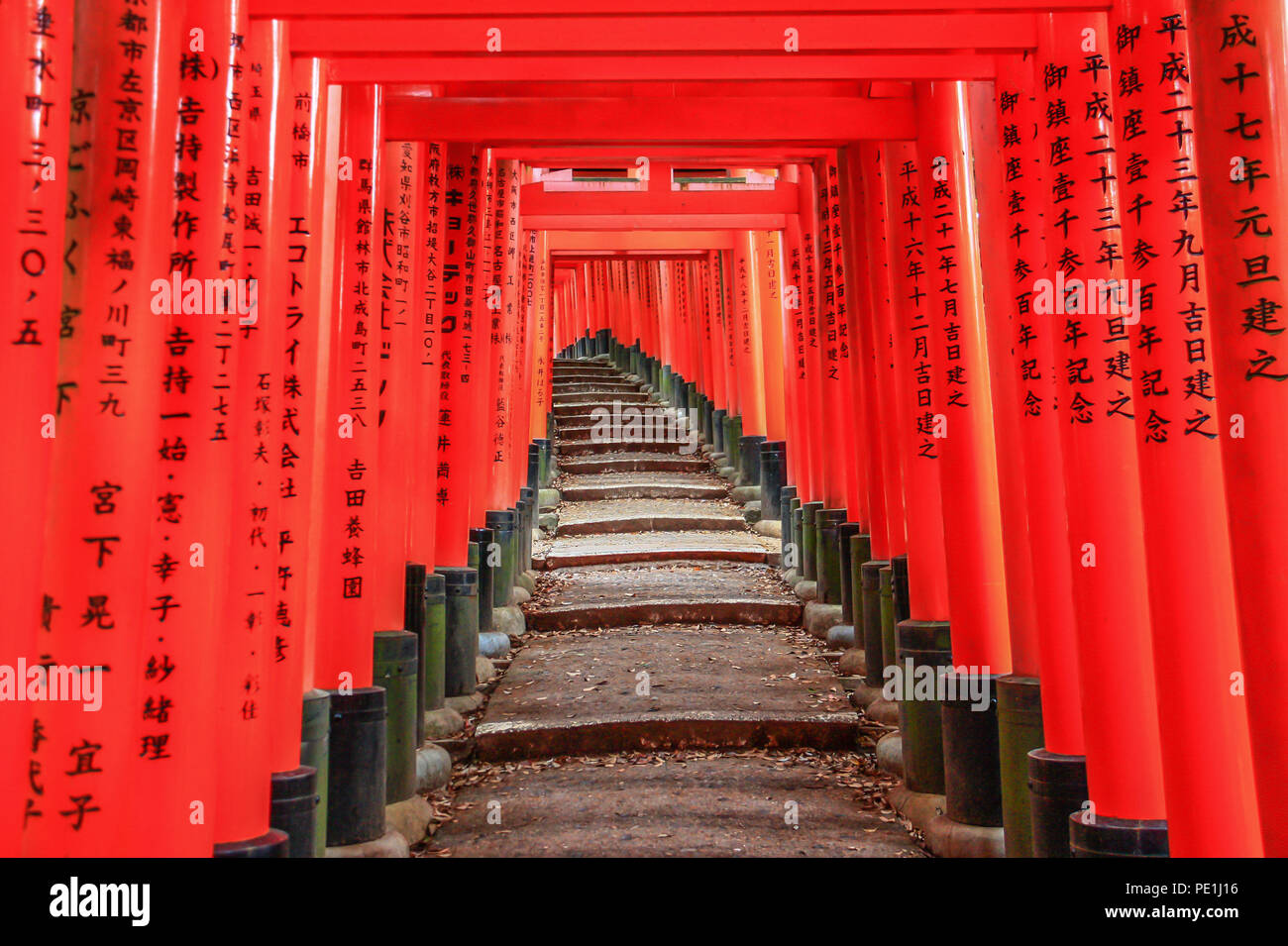 Kyoto, Giappone - Il Fushimi-inari Taisha è probabilmente il più famoso santuario di Kyoto, con il suo colore rosso torii percorsi di sagomatura che attraversavano la montagna Foto Stock