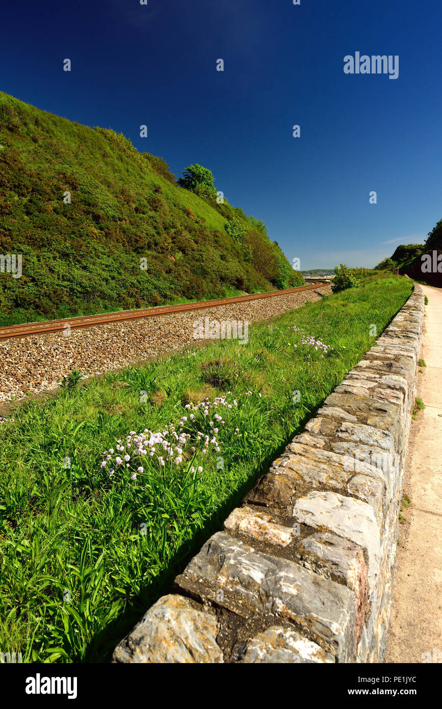 Linea ferroviaria e parete del mare in stretta prossimità, guardando verso Dawlish Warren. Foto Stock
