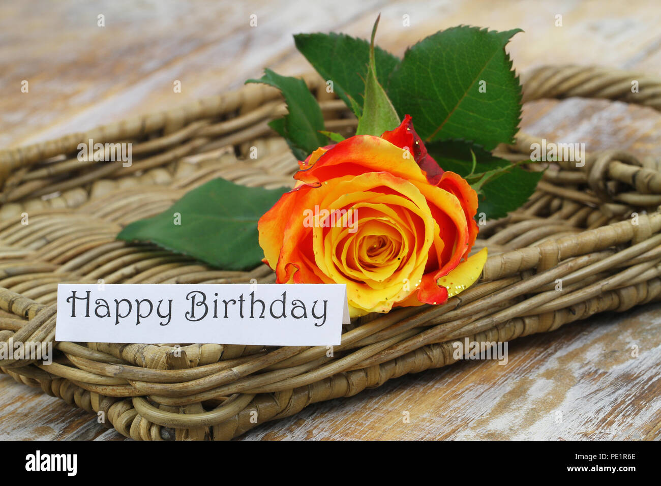 Buon compleanno card con una rosa di arancia ricoperti di glitter, primo piano Foto Stock