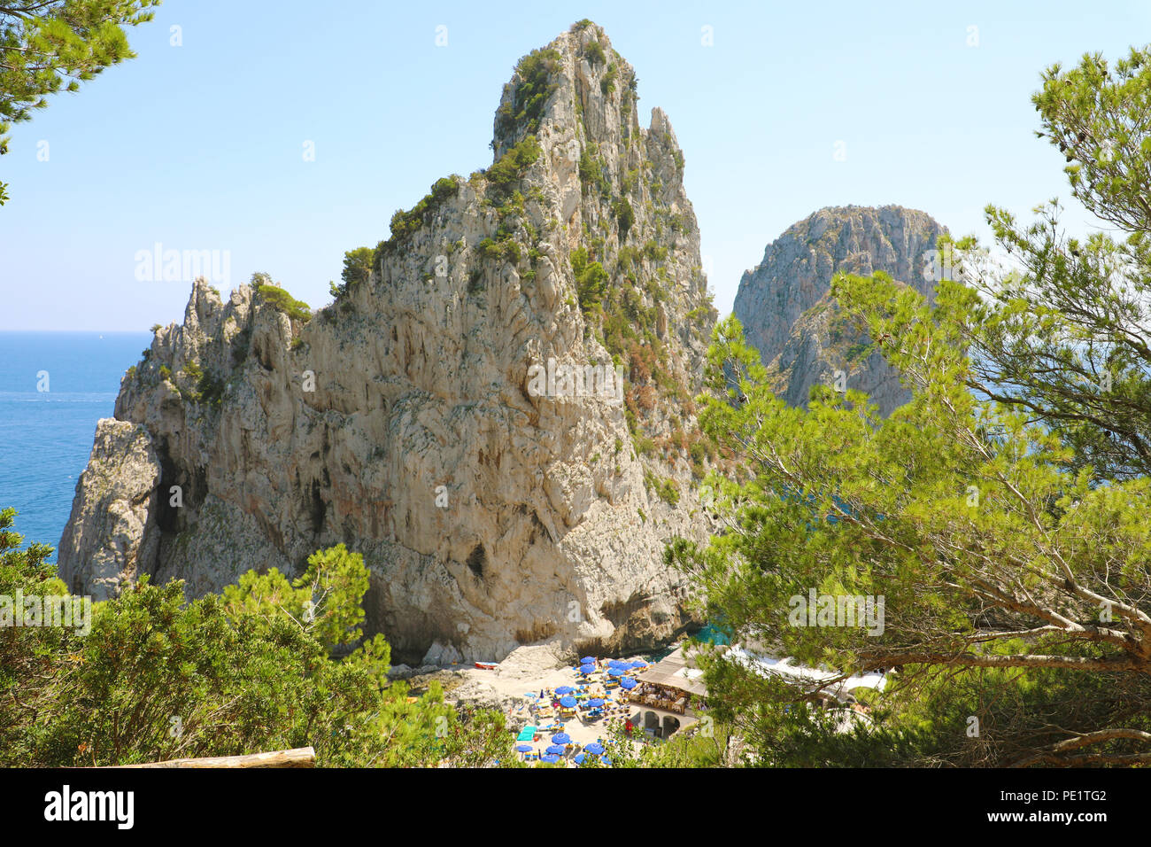 Faraglioni di Capri vista tra i rami degli alberi, Isola di Capri, Italia Foto Stock