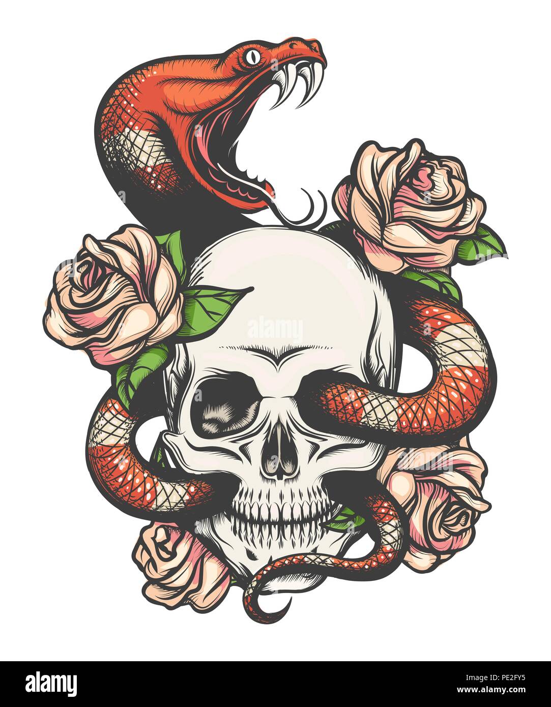 Colorato design tatuaggio con cranio, rose e snake. Illustrazione Vettoriale. Illustrazione Vettoriale