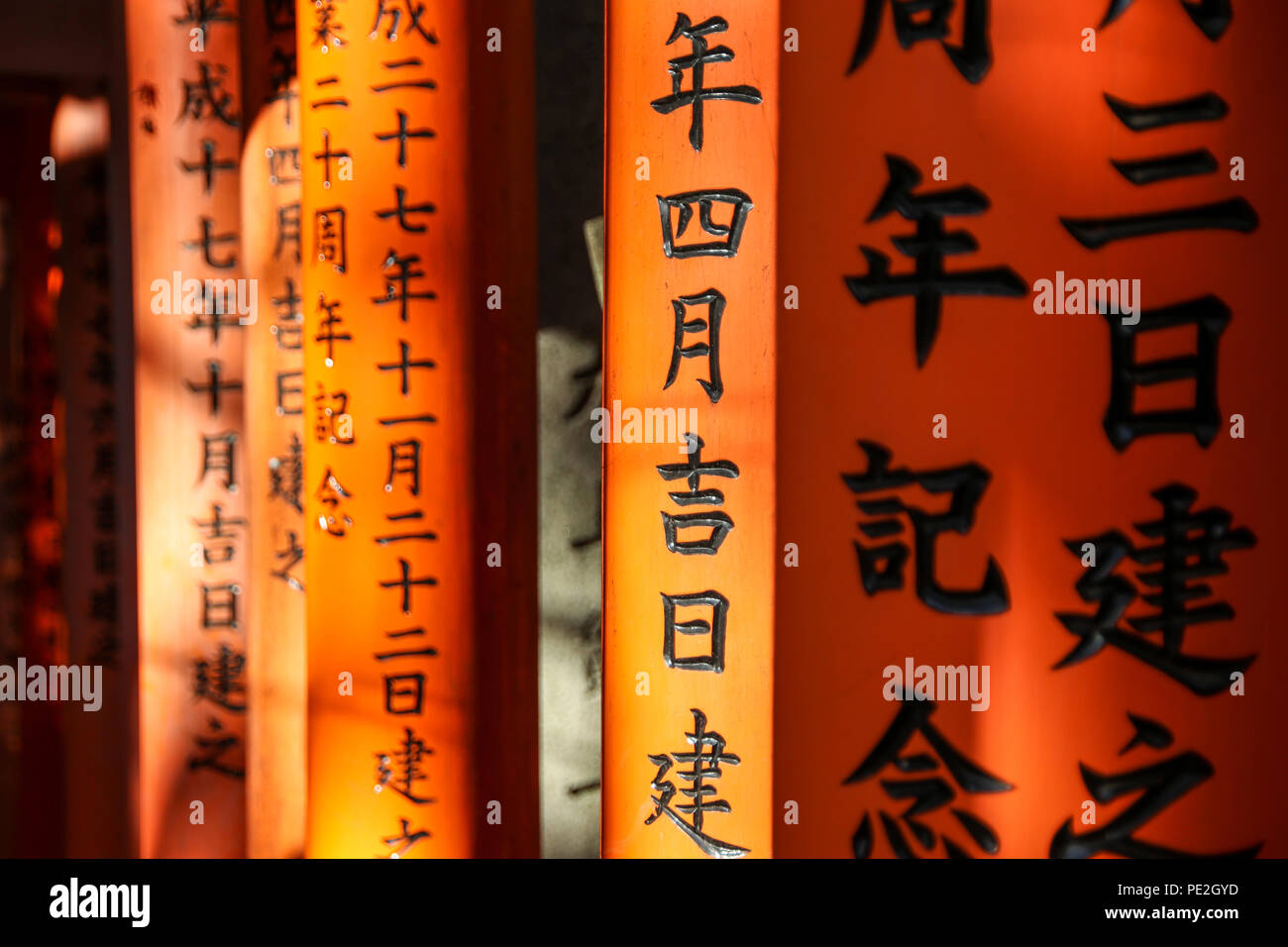 Inari santuari. Torii percorso (Senbon torii) A Fushimi Inari taisha-, collegando la parte interna ed esterna dei santuari in Kyoto, Giappone. Foto Stock