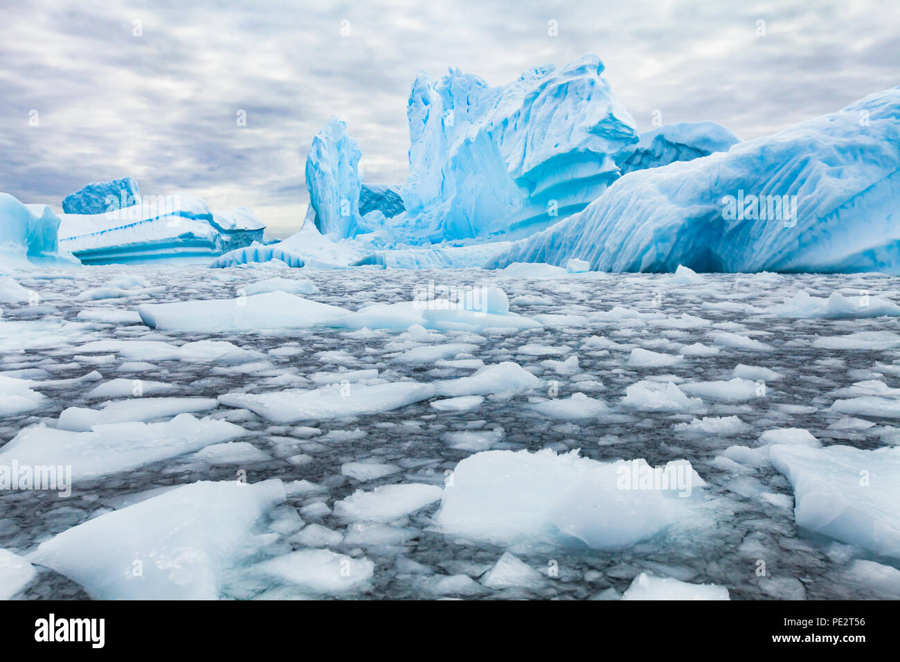 L'Antartide bellissimo paesaggio, blu Iceberg, natura selvaggia Foto Stock