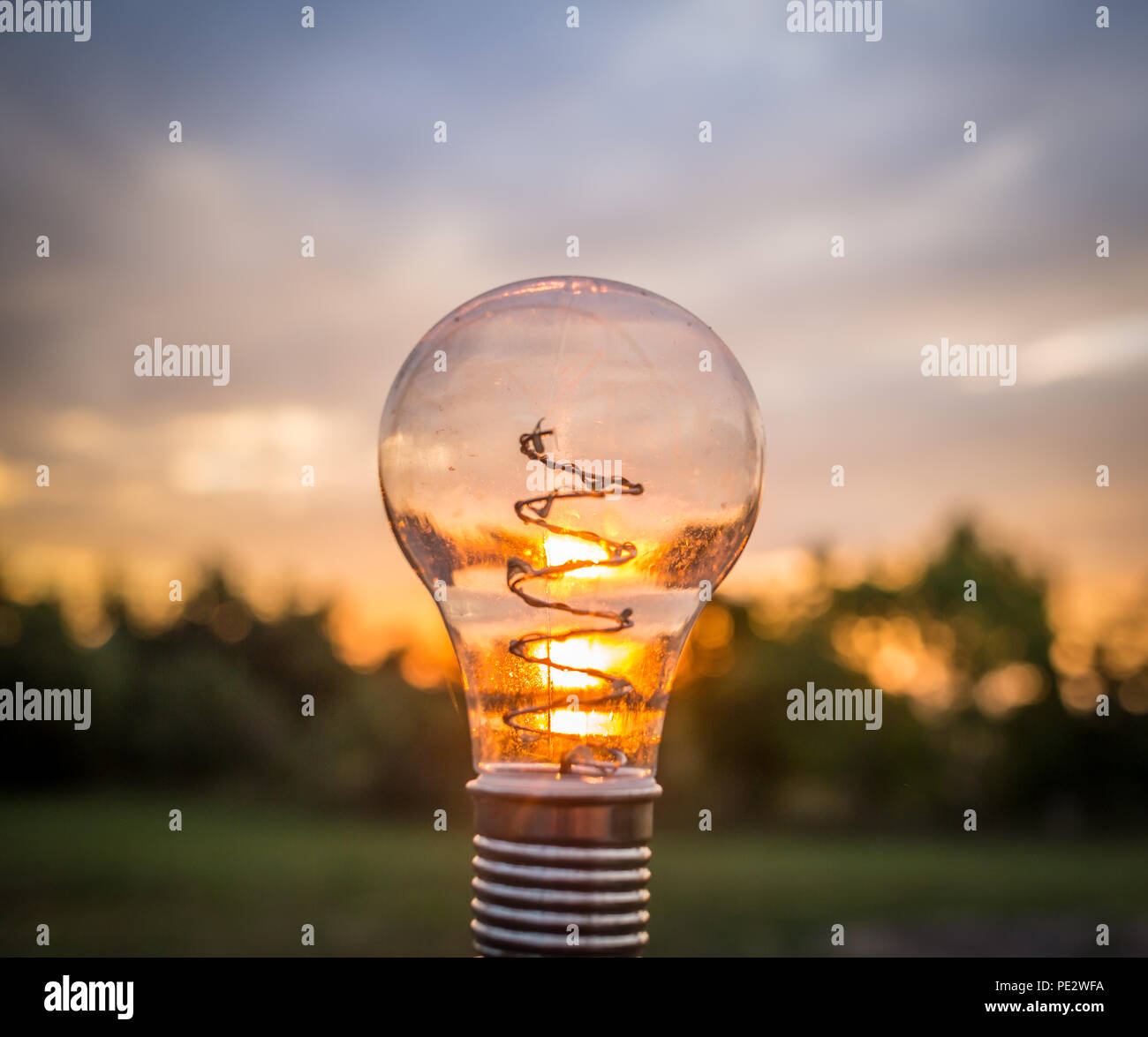 Una lampadina fuori durante il tramonto. Foto Stock
