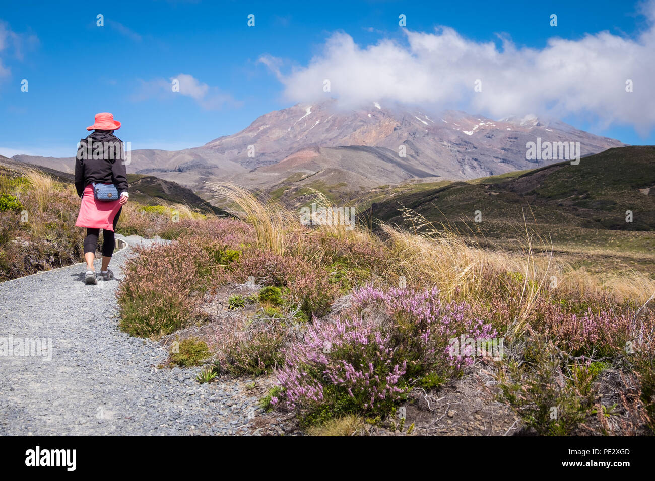 Una donna che cammina verso il Monte Ruapehu nel Parco Nazionale di Tongariro Foto Stock